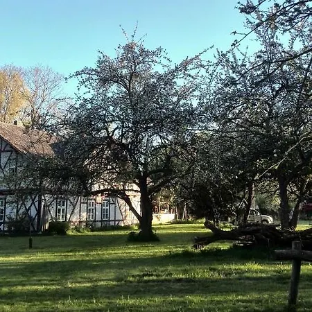 Tiny House- Lowenzahn 아파트 *